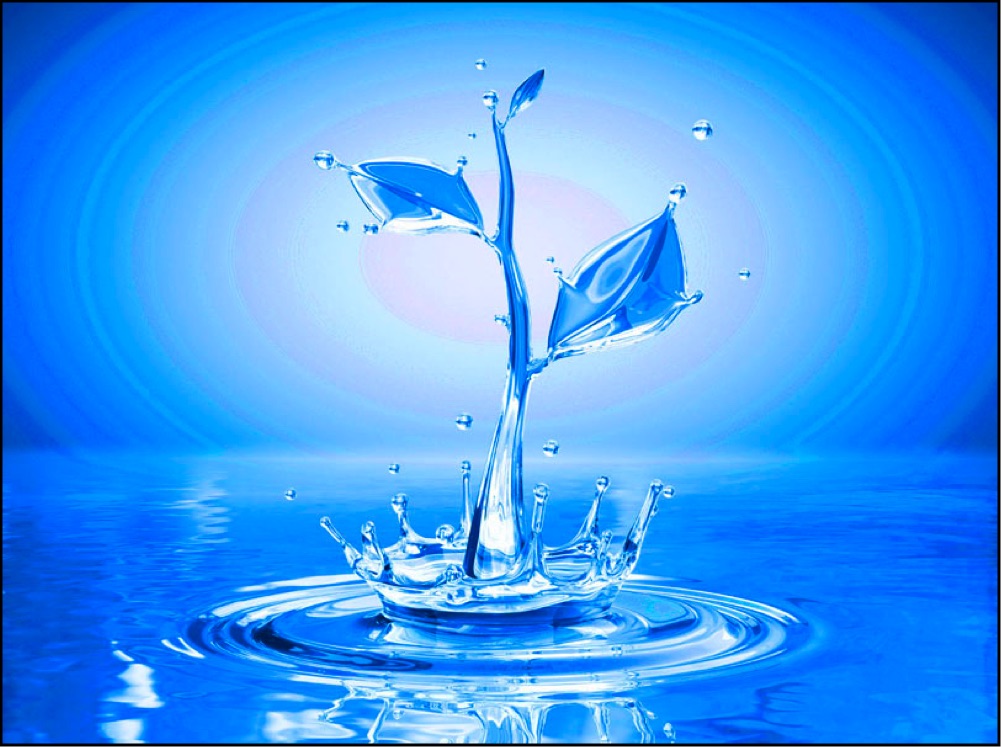 Aquaponics Water